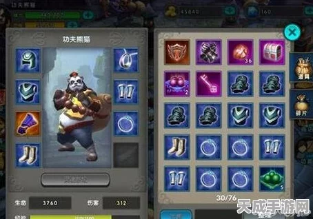 太极熊猫装备搭配秘籍，解锁战场制胜之道，深度攻略大揭秘