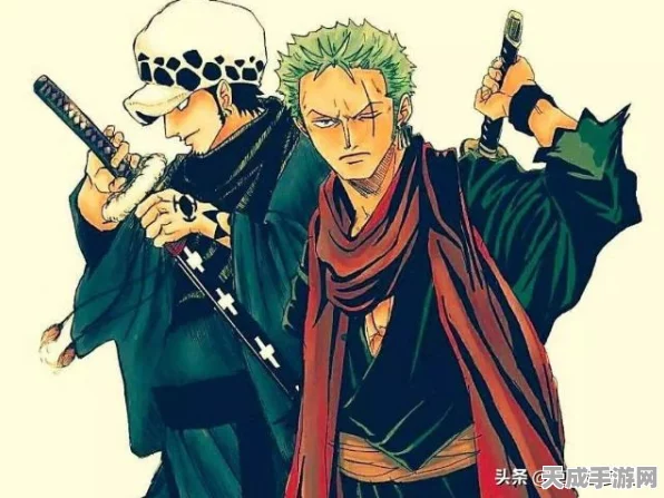 航海王燃烧意志，光月御殿技能搭配全攻略，解锁战斗新境界！