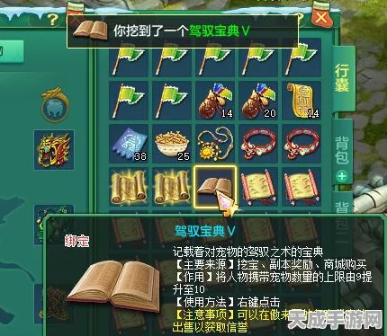 神武挖宝全攻略，揭秘宝图挖宝的高效技巧与丰厚奖励
