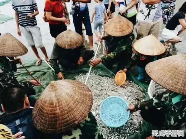 仙境传说RO手游，揭秘二转十字刺客的致命魅影与战斗艺术