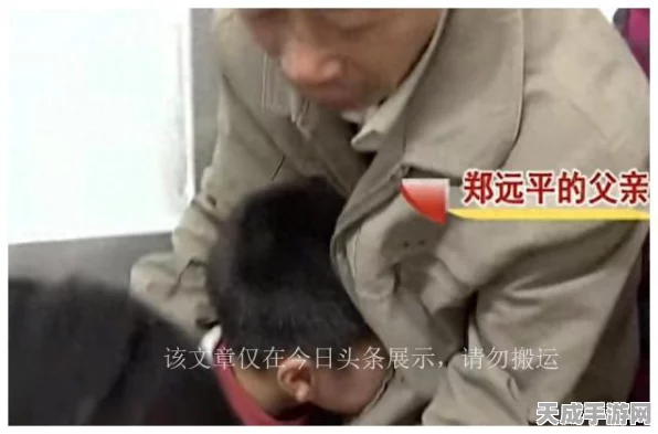 列王的纷争迁城秘籍，高效迁城策略与实战技巧大揭秘