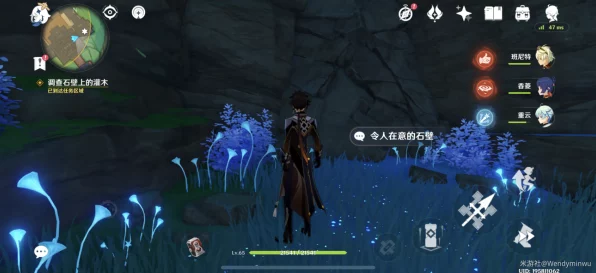 原神恒久之约，揭秘石壁灌木调查任务全攻略