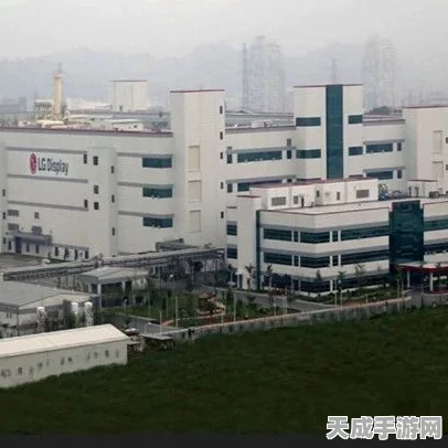 多面板巨头重大调整，广州工厂停产并计划出售，行业格局或将重塑