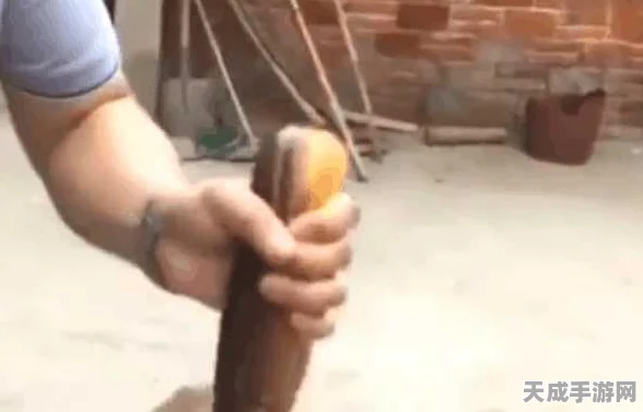 创造与魔法小龙虾垂钓秘境大揭秘，热门钓点及高效技巧全攻略