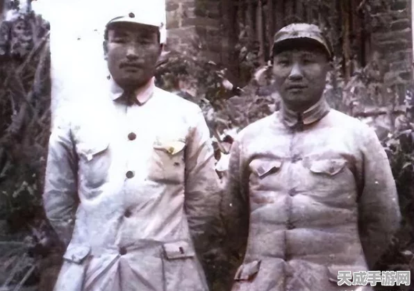 航海王燃烧意志深度解析，韧性功能全攻略，助你战场屹立不倒！