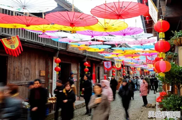 心动小镇树木采集大赛攻略，热门采集点与高效技巧大揭秘