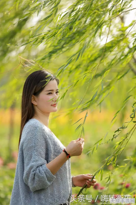 梦幻西游手游，青莲仙女变身卡震撼登场，解锁全新战斗策略！