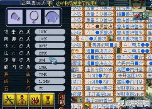 梦幻西游手游，揭秘几率测试合格标准，深度剖析实践案例