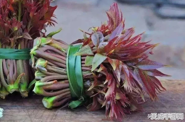 植物大战僵尸全明星，西部世界通关秘籍大揭秘