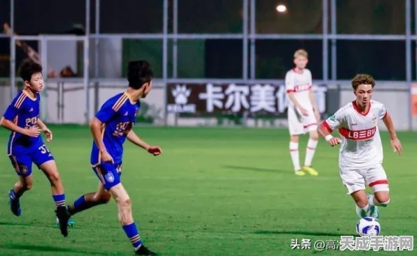 王者荣耀2024世界冠军杯，购票攻略与观赛全解析，巅峰对决即将震撼上演！