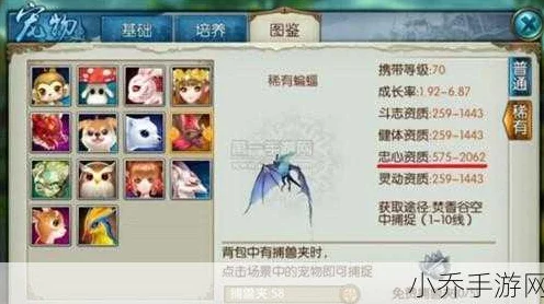 诛仙手游合欢宠物精选指南，解锁战斗与养成新境界