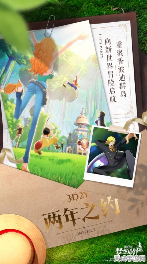 航海王梦想指针，徽章速获与养成秘籍，扬帆起航的终极攻略