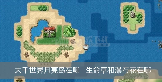 探秘大千世界，揭秘月亮岛位置与生命草、瀑布花寻觅攻略