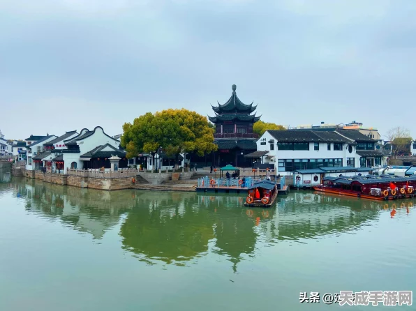 烟雨江湖虎丘塔，揭秘隐藏攻略触发条件与绝密细节
