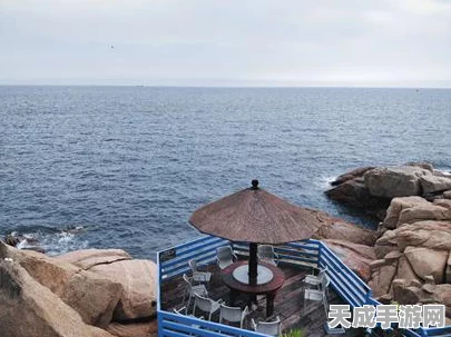 心动小镇海鸥资料卡，解锁珍稀角色，赢取限定奖励全攻略