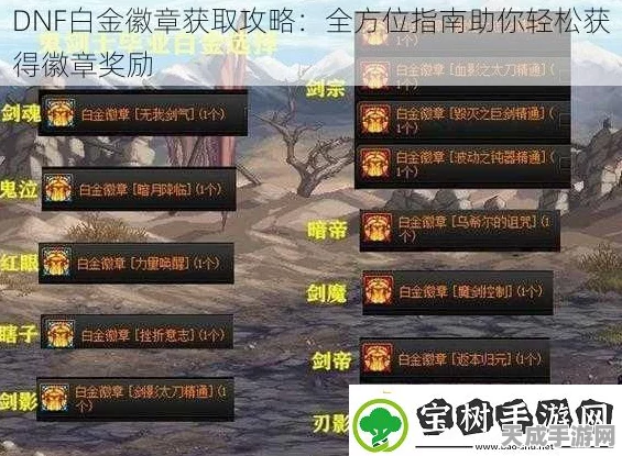 DNF2024徽章攻略大揭秘，高效获取技巧与最高掉落率地图详解