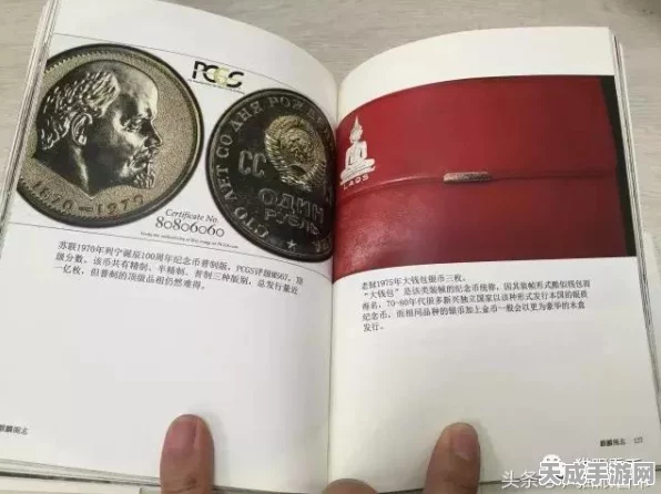 QQ飞车手游荣耀币全攻略，解锁荣耀之路的必备指南