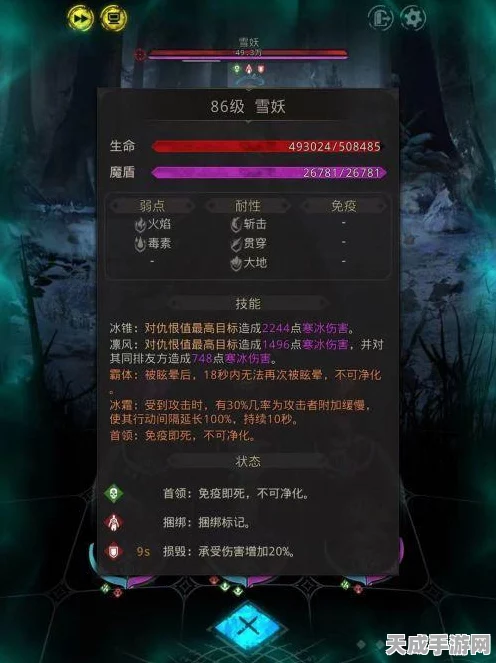 揭秘地下城堡3，魂之诗冰精灵庇佑，获取攻略与神秘力量解析