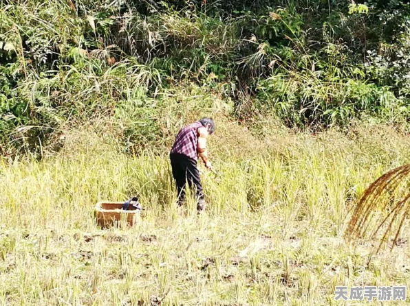 文明6种田争霸赛，揭秘最强种田文明，策略与资源的终极较量！