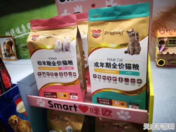 DNF手游萌新宝典，角色甄选与光速成长全攻略
