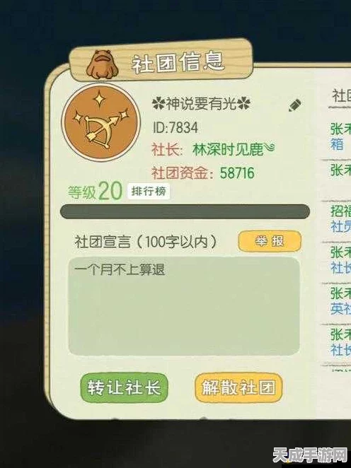 小森生活深度攻略，揭秘高效获取银猫币的绝妙途径