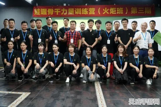 火炬之光无限，深度剖析加剧值对战斗力的影响及实战策略
