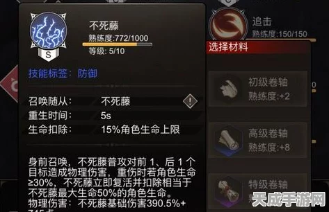 剑与骑士团，顶尖玩家揭秘装备词条与套装搭配秘籍