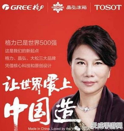 国际能源署点赞格力空调，董明珠的环保理念获权威认可