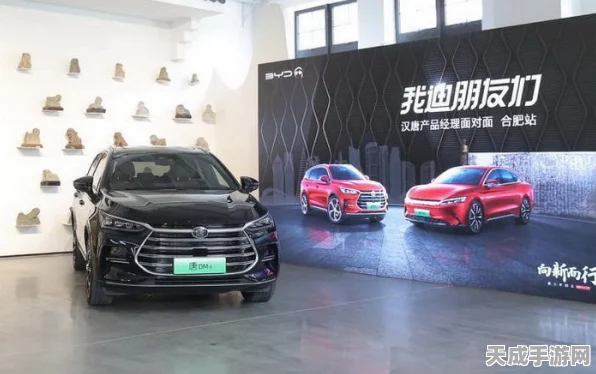 比亚迪·迪空间震撼开启，探索新能源汽车豫见未来挑战赛