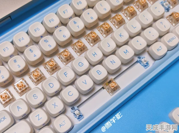 弹力果冻方糖全解析，作用、获取途径及最新动态揭秘