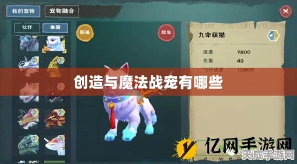 手游攻略，创造与魔法世界顶尖战宠精选，智取胜利全攻略