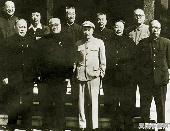 黎明之海，威望勋章深度攻略，揭秘荣耀之路与丰厚奖励