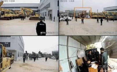 探秘创造与魔法，小白花采集攻略与最新动态揭秘