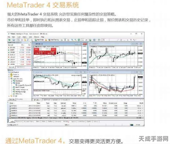 手游玩家必看，揭秘银行MT4在手游支付领域的独特作用