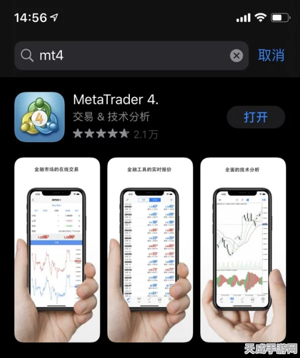 手游玩家必看，揭秘银行MT4在手游支付领域的独特作用