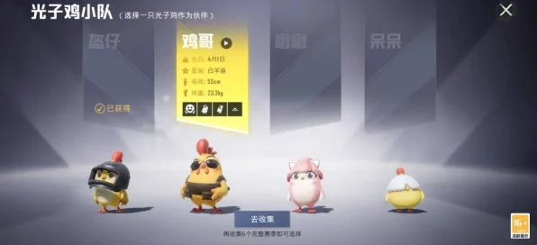 和平精英，小鸡仔兑换秘籍与游戏频次深度剖析，助你战场称雄