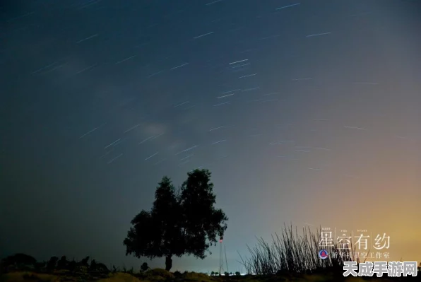 火星黎明汉化中文版震撼发布，红色星球生存挑战全解析