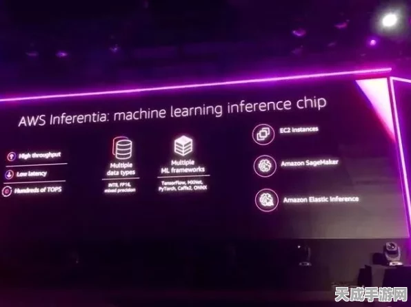 亚马逊AWS缘何未选用AMD AI芯片？深度解析与最新动态
