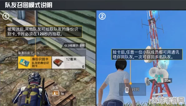 和平精英角色性别大变身！详细步骤与最新动态揭秘