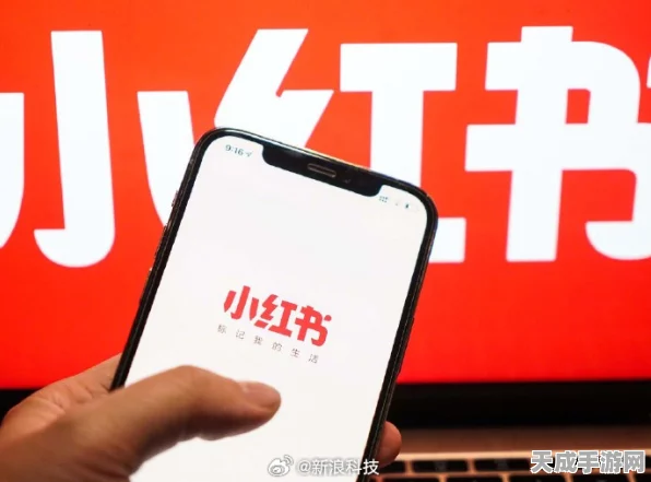 小红书算法大升级，新部门成立，商业化、社区、电商算法全面整合