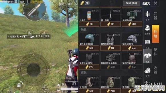 和平精英高手进阶，揭秘快速上分策略与实战技巧