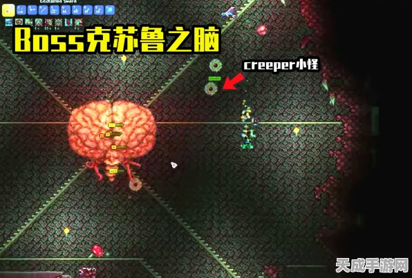 泰拉瑞亚深度探险，专家级挑战，克苏鲁之脑宝藏全揭秘