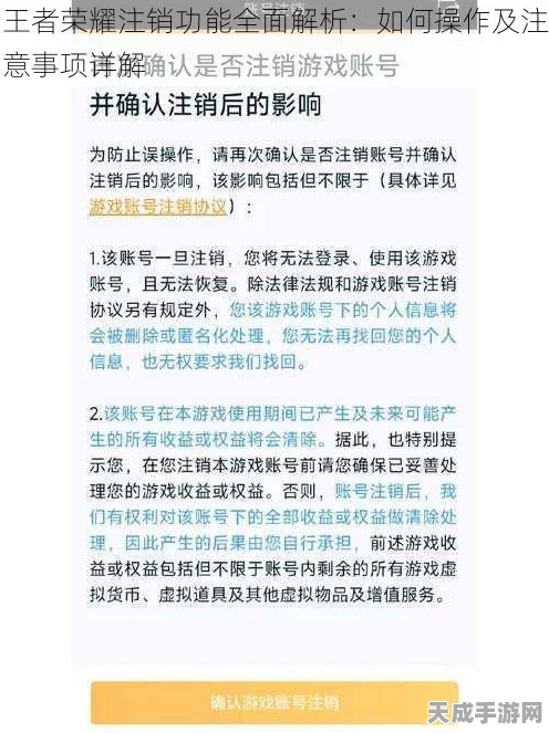 王者荣耀账号注销全攻略，详细步骤与注意事项