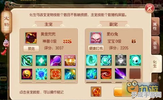 梦幻诛仙深度攻略，神兽黄金兜兜加点秘籍与竞技实战解析