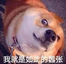 天谕手游冒险家指南，藏品任务全攻略，解锁稀有宝藏秘籍