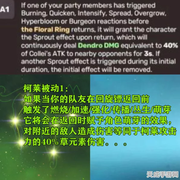 原神深度解析，柯莱与草主，谁才是你的培养首选？