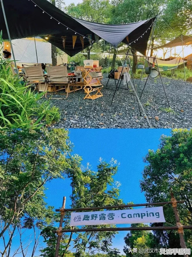 手游探索指南，揭秘小森生活灯闪果秘境分布与刷新机制，赢取稀有奖励！