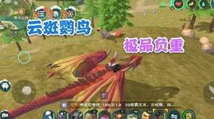 幼鲭鲨饲料制作大赛揭秘，独家配方与技巧助你征服创造与魔法世界