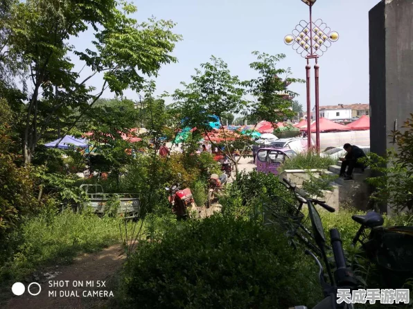 庙会街全攻略，江南百景图解锁秘籍与性价比深度剖析