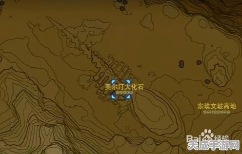 塞尔达传说王国之泪，揭秘海布拉大化石，踏上奇幻探险之旅